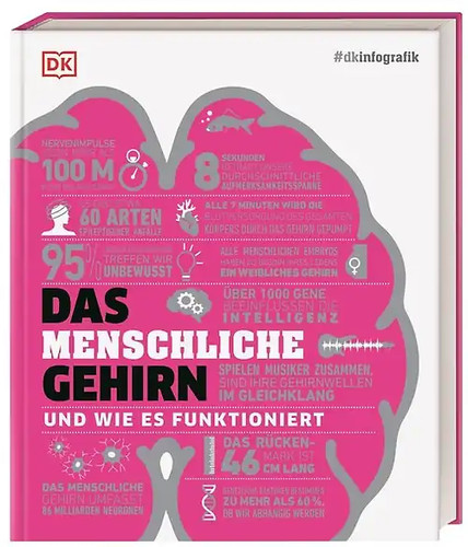Dkinfografik das menschliche - das,
